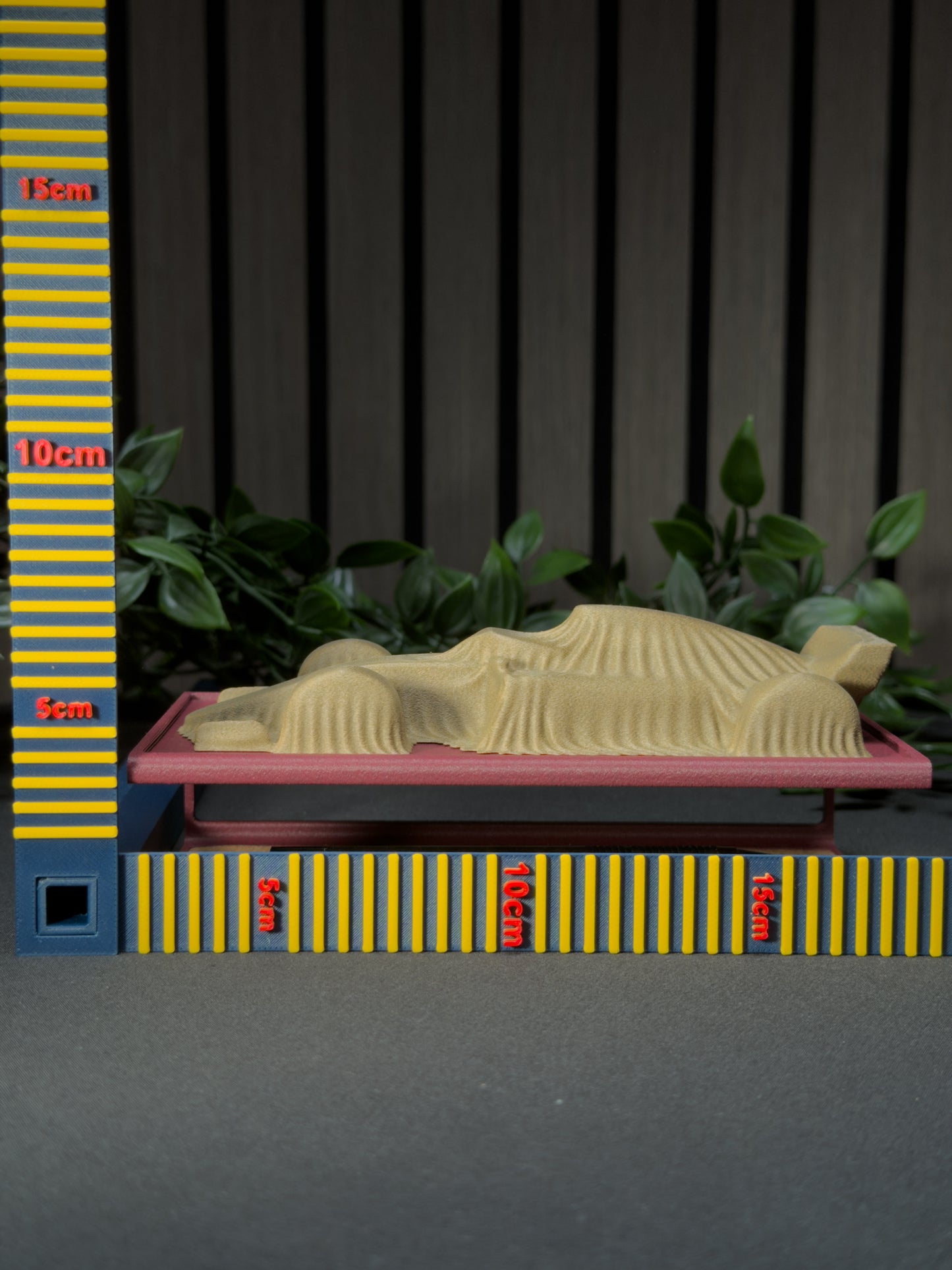 F1 Race Car Unveiling Desktop Display & Organizer | 3D Printed Carbon Fiber