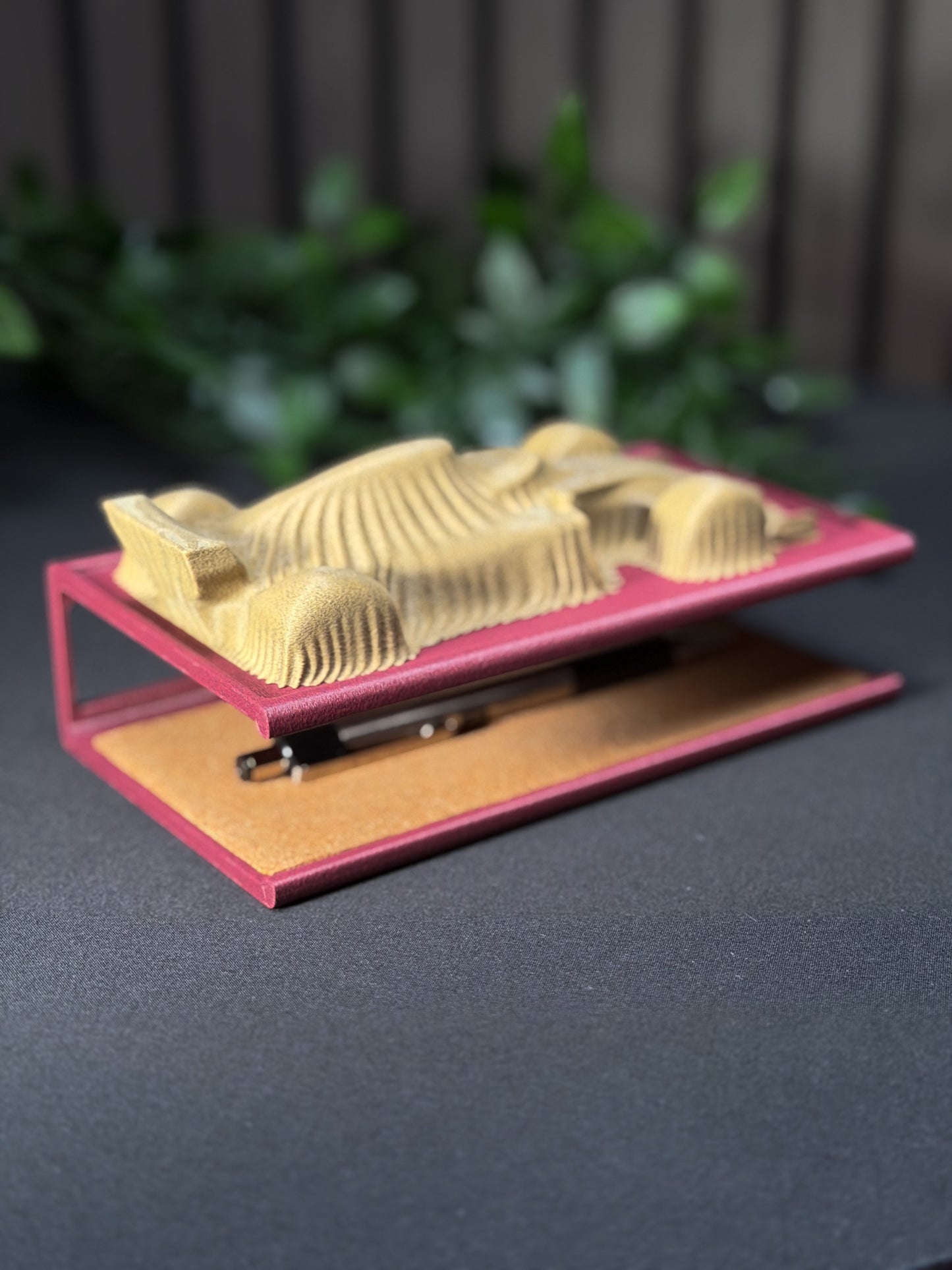 F1 Race Car Unveiling Desktop Display & Organizer | 3D Printed Carbon Fiber